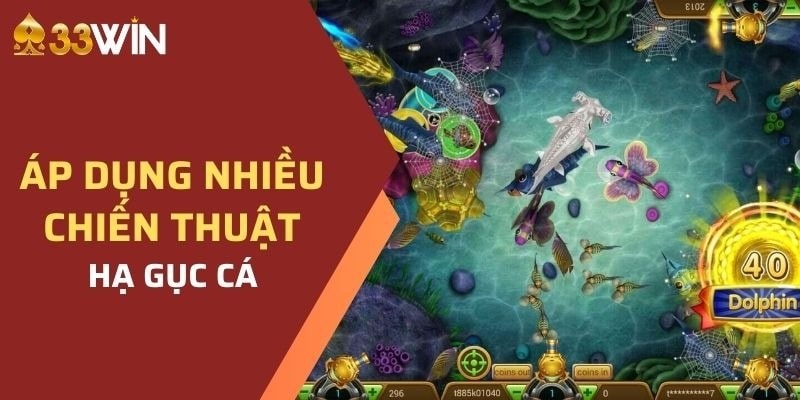 Kinh nghiệm nên được áp dụng vào khi tham gia chơi